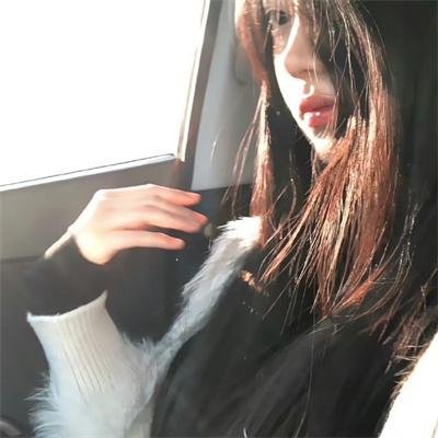 燕子与鹦鹉